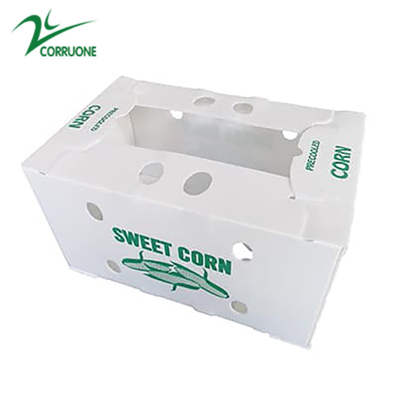 กล่องผลไม้คอร์เร็กซ์ PP กล่องพลาสติก corrugated สําหรับผักและเกษตรกล่องบรรจุ