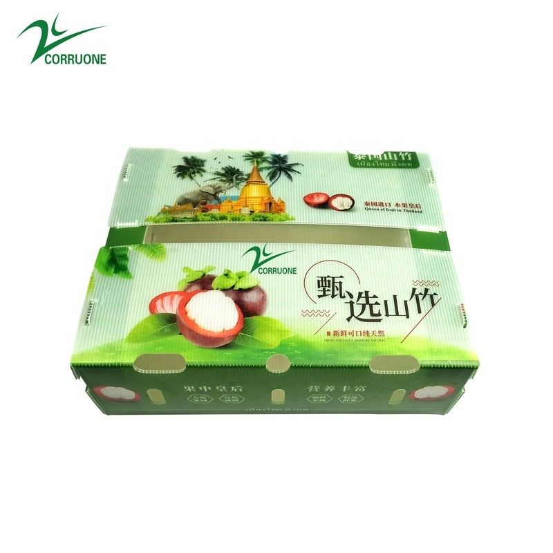 กล่องผลไม้คอร์เร็กซ์ PP กล่องพลาสติก corrugated สําหรับผักและเกษตรกล่องบรรจุ
