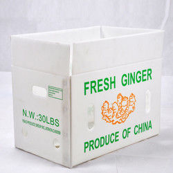 กล่องผลไม้คอร์เร็กซ์ PP กล่องพลาสติก corrugated สําหรับผักและเกษตรกล่องบรรจุ
