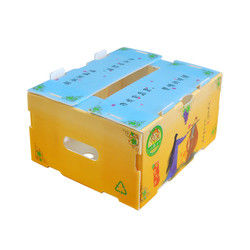 กล่องผลไม้คอร์เร็กซ์ PP กล่องพลาสติก corrugated สําหรับผักและเกษตรกล่องบรรจุ