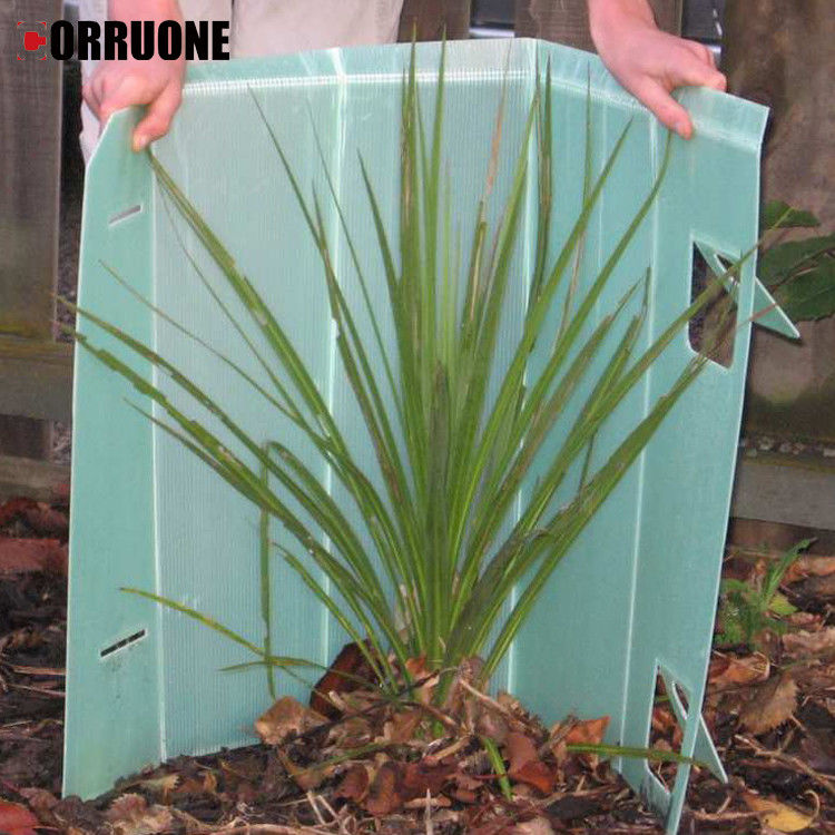 แผ่นพลาสติกราคาไม่แพง ผนังปลาสติกผนังปกป้อง pp ผนังพลาสติก corrugated ที่ป้องกันต้นไม้หนุ่มอย่างมีประสิทธิภาพ