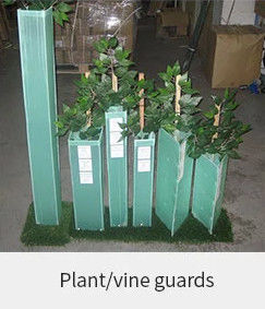 1.5mm PP คอร์ฟลูต Tree Guard ตัวป้องกันลำต้นพลาสติกสีเขียว