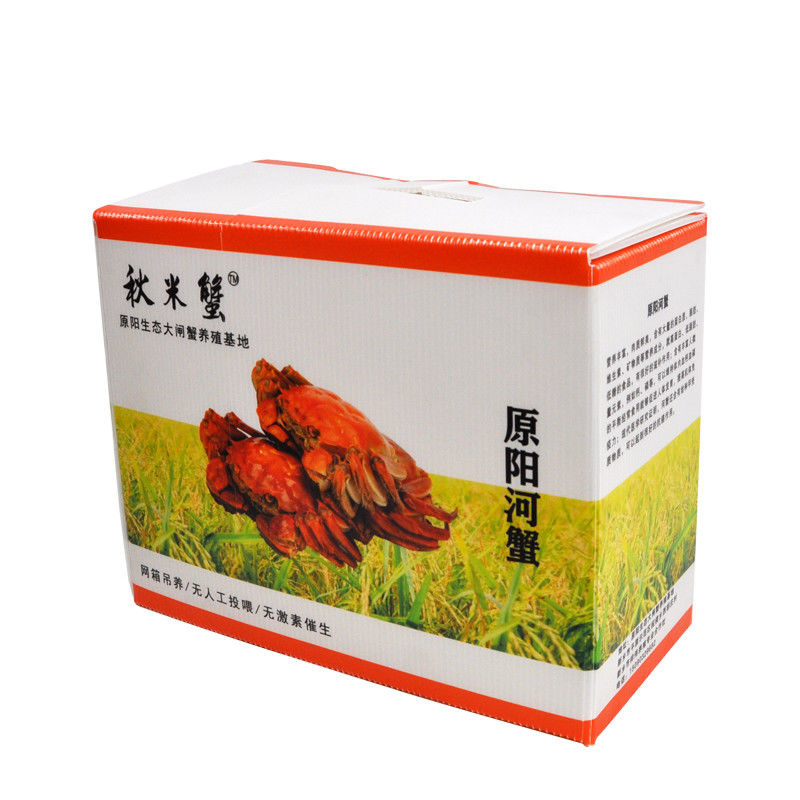 กล่องพลาสติก Danpla กล่องพลาสติกโพลีพรอพีเลนกล่องแผ่นพลาสติกกล่องเก็บของ