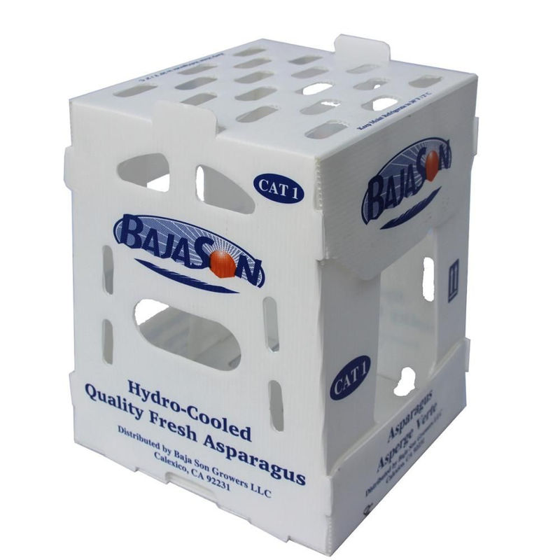 กล่องพลาสติก Correx PP ขนาด 5 มม. 6 มม. สำหรับผักและผลไม้