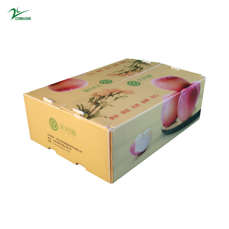 Twinwall PP กล่องกระดาษลูกฟูกกล่องอาหารเกรด คอร์ฟลูต สำหรับผักผลไม้