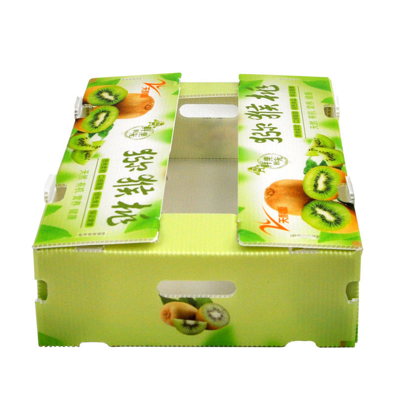 Custom Coroplast Boxes กล่องผักลูกฟูกสำหรับพริกแดง