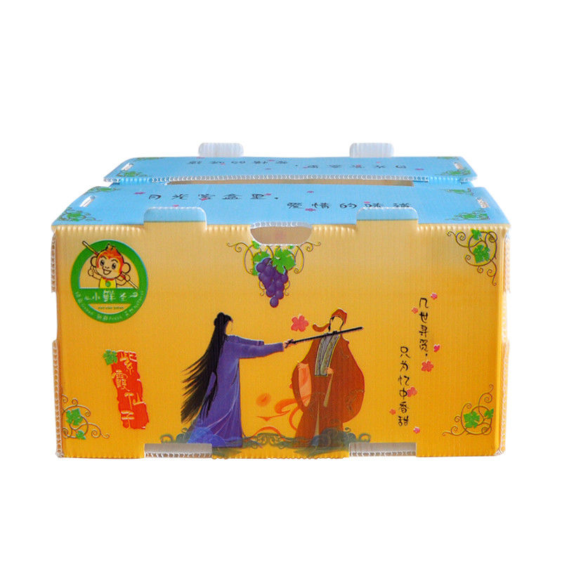Correx Corn Vegetable Corrugated Boxes กล่องพลาสติกลูกฟูก