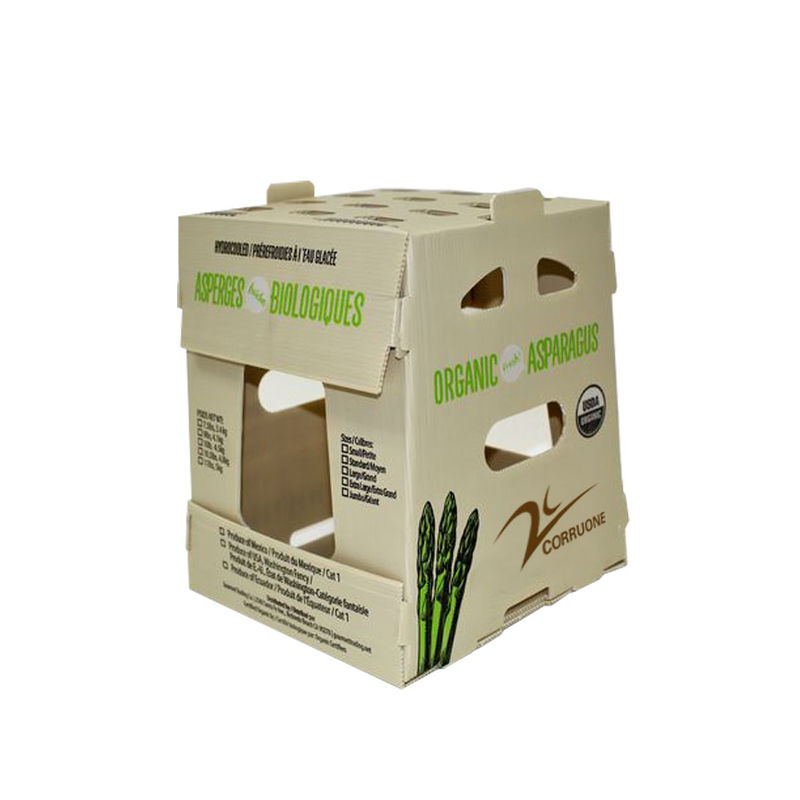 PP PE Mango Corrugated Box Polypropylene คอร์ฟลูต Storage Boxes