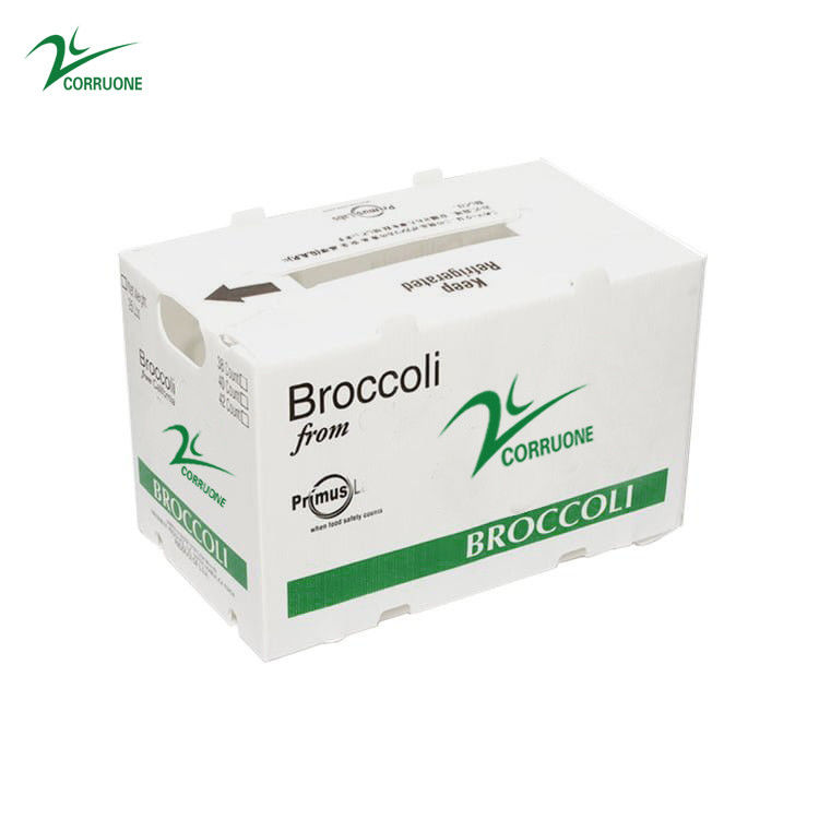 PP PE Mango Corrugated Box Polypropylene คอร์ฟลูต Storage Boxes