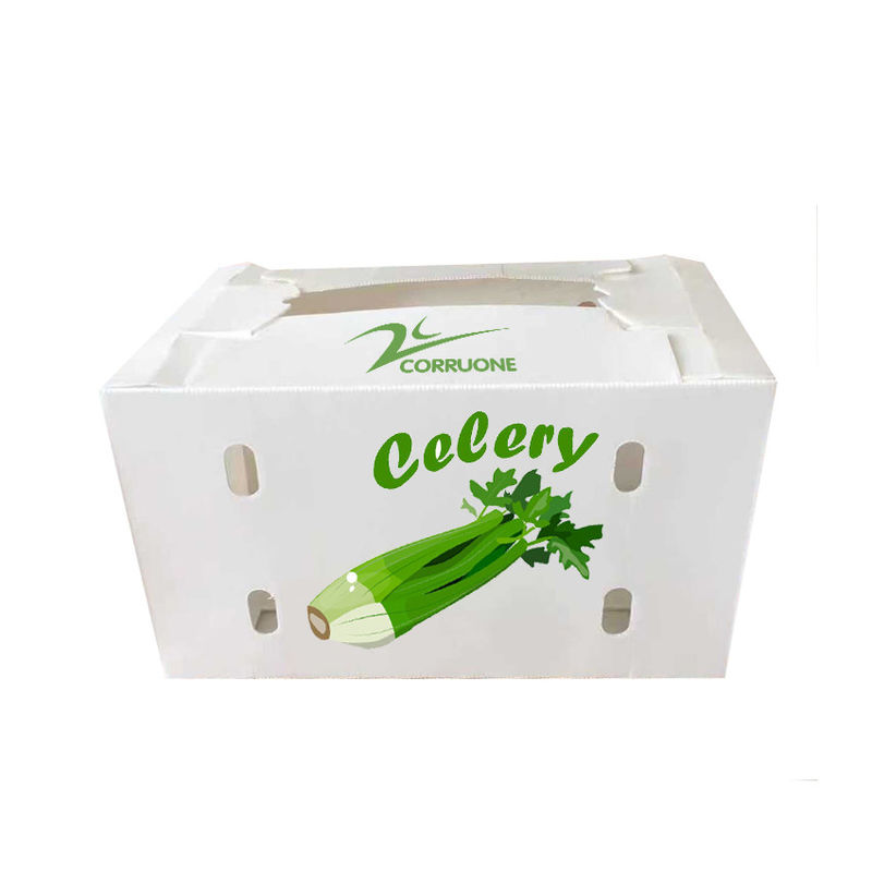 PP PE Mango Corrugated Box Polypropylene คอร์ฟลูต Storage Boxes