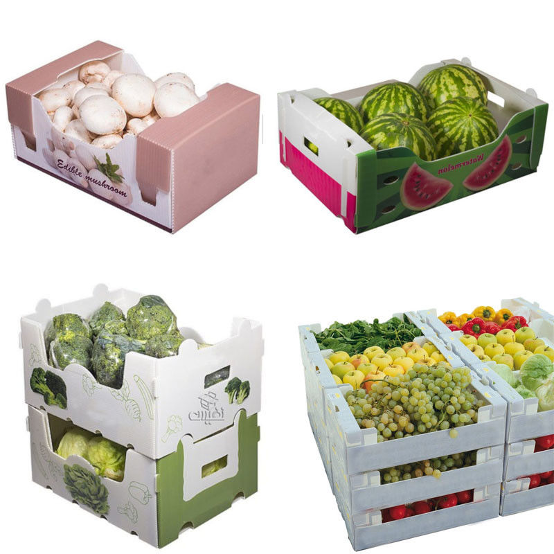 Corn คอร์ฟลูต Box กล่องผักลูกฟูกขนาดกำหนดเองรีไซเคิลได้