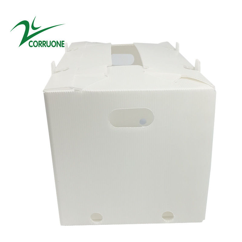 2mm-11mm Hollow Carton Coroplast Correx กล่องพลาสติกลูกฟูกแบบพับได้