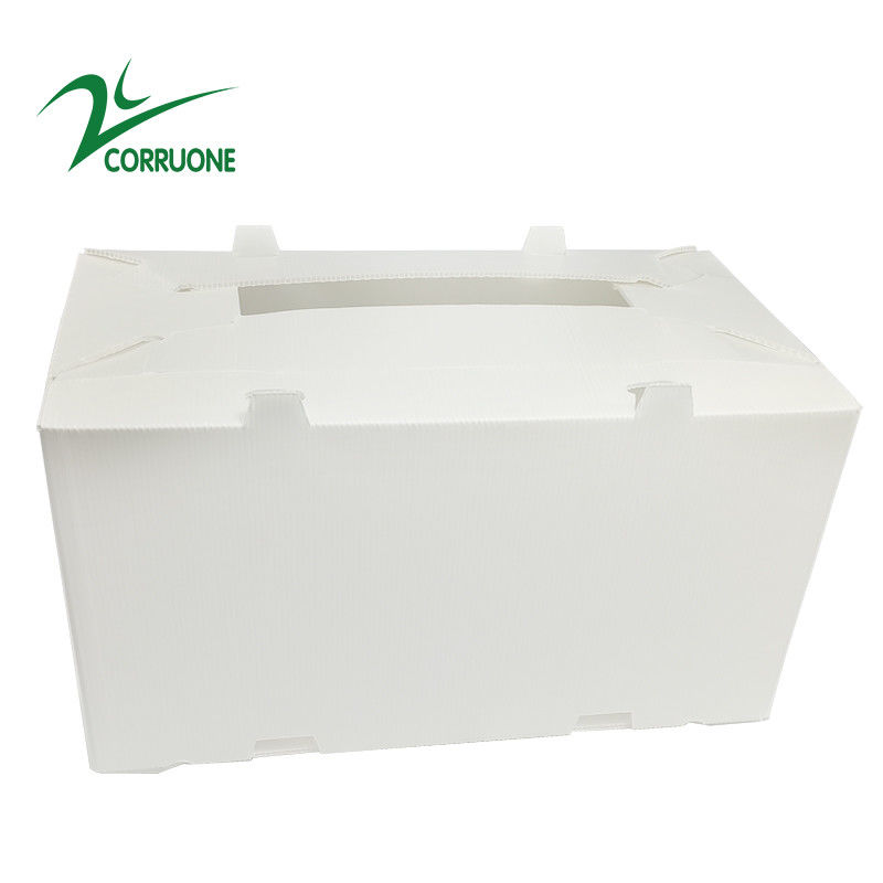 2mm-11mm Hollow Carton Coroplast Correx กล่องพลาสติกลูกฟูกแบบพับได้
