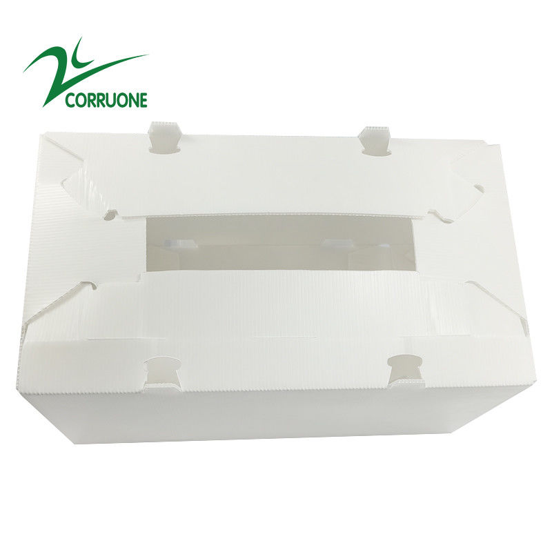 2mm-11mm Hollow Carton Coroplast Correx กล่องพลาสติกลูกฟูกแบบพับได้