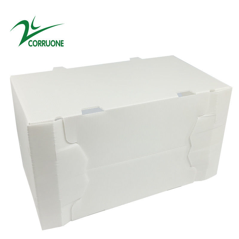 2mm-11mm Hollow Carton Coroplast Correx กล่องพลาสติกลูกฟูกแบบพับได้