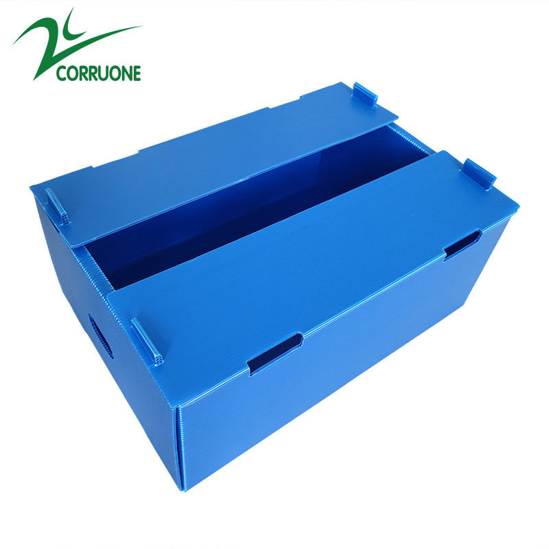 ขายส่งนำกลับมาใช้ใหม่ได้ Pp Hollow Corrugated Plastic Corflute บรรจุภัณฑ์กล่องผักและผลไม้