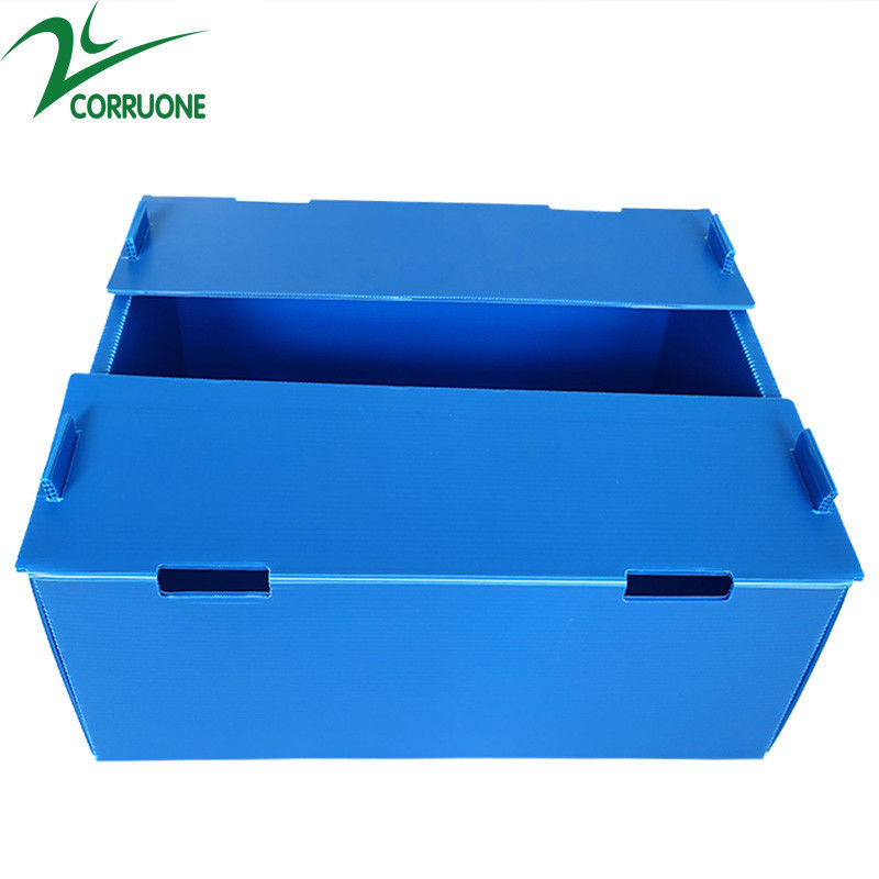 ขายส่งนำกลับมาใช้ใหม่ได้ Pp Hollow Corrugated Plastic Corflute บรรจุภัณฑ์กล่องผักและผลไม้