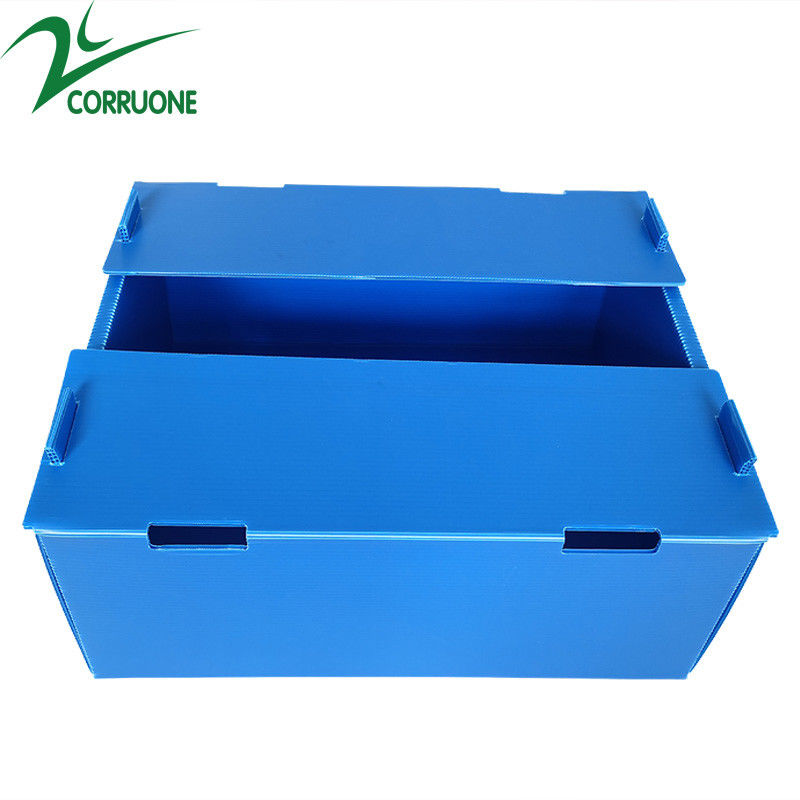 ขายส่งนำกลับมาใช้ใหม่ได้ Pp Hollow Corrugated Plastic Corflute บรรจุภัณฑ์กล่องผักและผลไม้