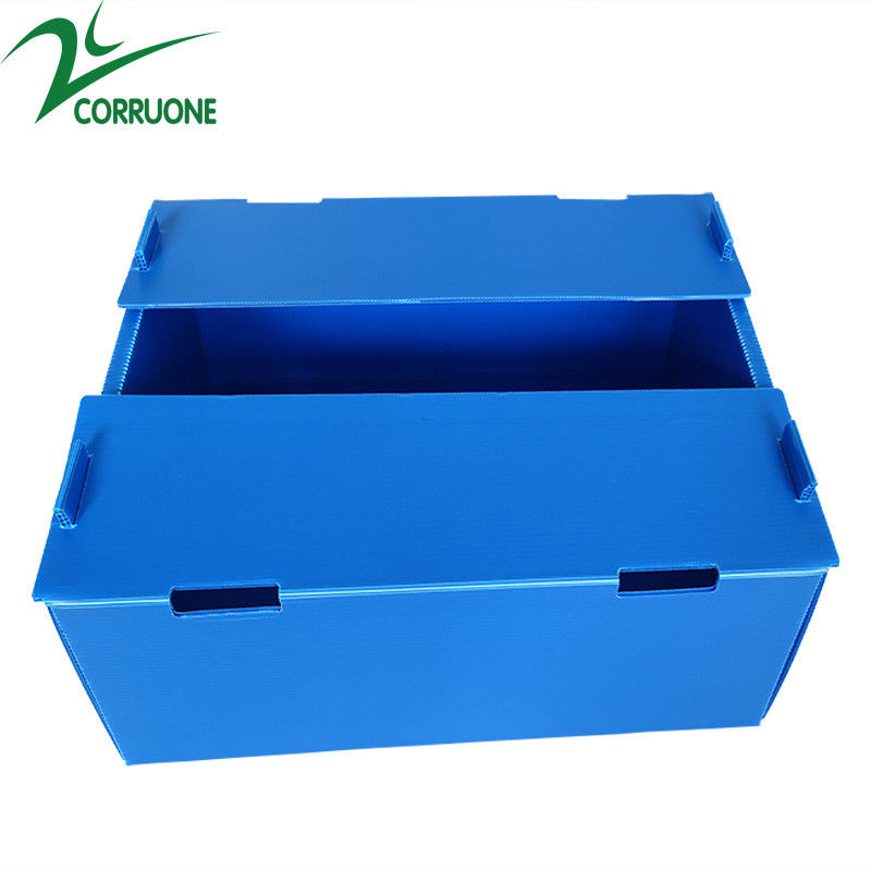 ขายส่งนำกลับมาใช้ใหม่ได้ Pp Hollow Corrugated Plastic Corflute บรรจุภัณฑ์กล่องผักและผลไม้