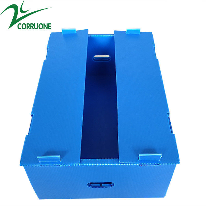 ขายส่งนำกลับมาใช้ใหม่ได้ Pp Hollow Corrugated Plastic Corflute บรรจุภัณฑ์กล่องผักและผลไม้