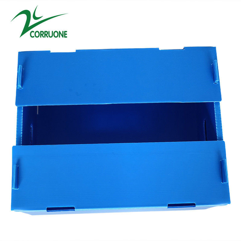 ขายส่งนำกลับมาใช้ใหม่ได้ Pp Hollow Corrugated Plastic Corflute บรรจุภัณฑ์กล่องผักและผลไม้