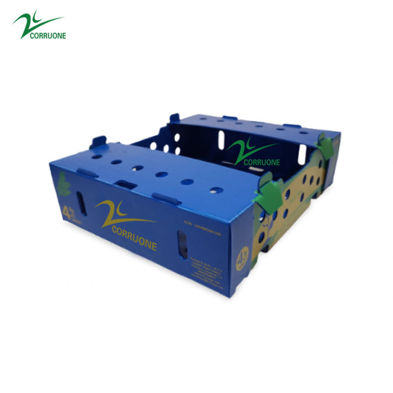 Danpla Corriboard Corriboard กล่องย้ายพลาสติกลูกฟูกสำหรับอาหารสัตว์ทะเล