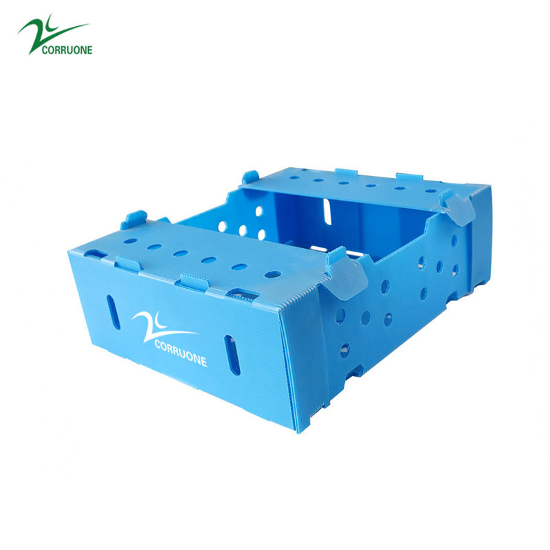 Danpla Corriboard Corriboard กล่องย้ายพลาสติกลูกฟูกสำหรับอาหารสัตว์ทะเล