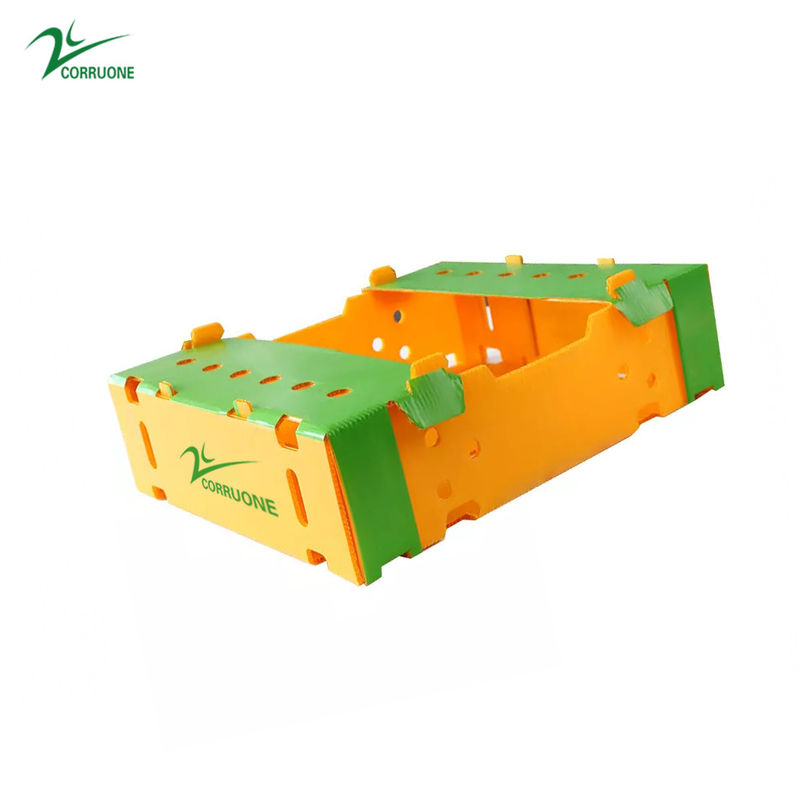 Danpla Corriboard Corriboard กล่องย้ายพลาสติกลูกฟูกสำหรับอาหารสัตว์ทะเล