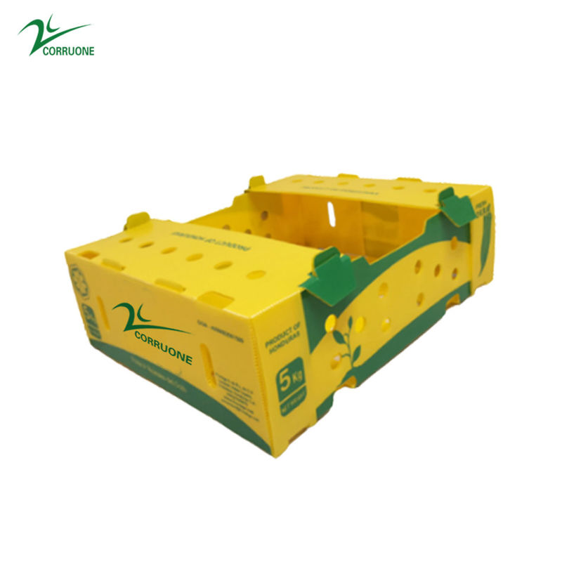 Danpla Corriboard Corriboard กล่องย้ายพลาสติกลูกฟูกสำหรับอาหารสัตว์ทะเล