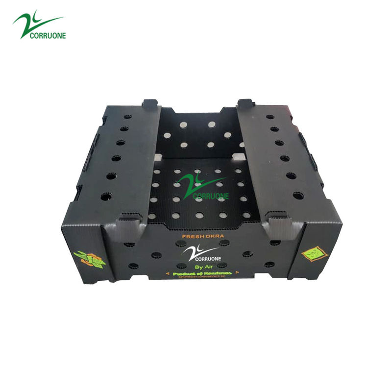 Correx Fruit Corrugated Boxes กล่องพลาสติกลูกฟูกแบบกำหนดเองสำหรับข้าวโพด