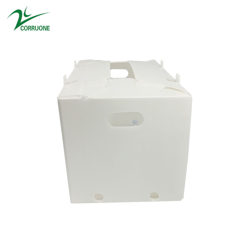 Correx Fruit Corrugated Boxes กล่องพลาสติกลูกฟูกแบบกำหนดเองสำหรับข้าวโพด