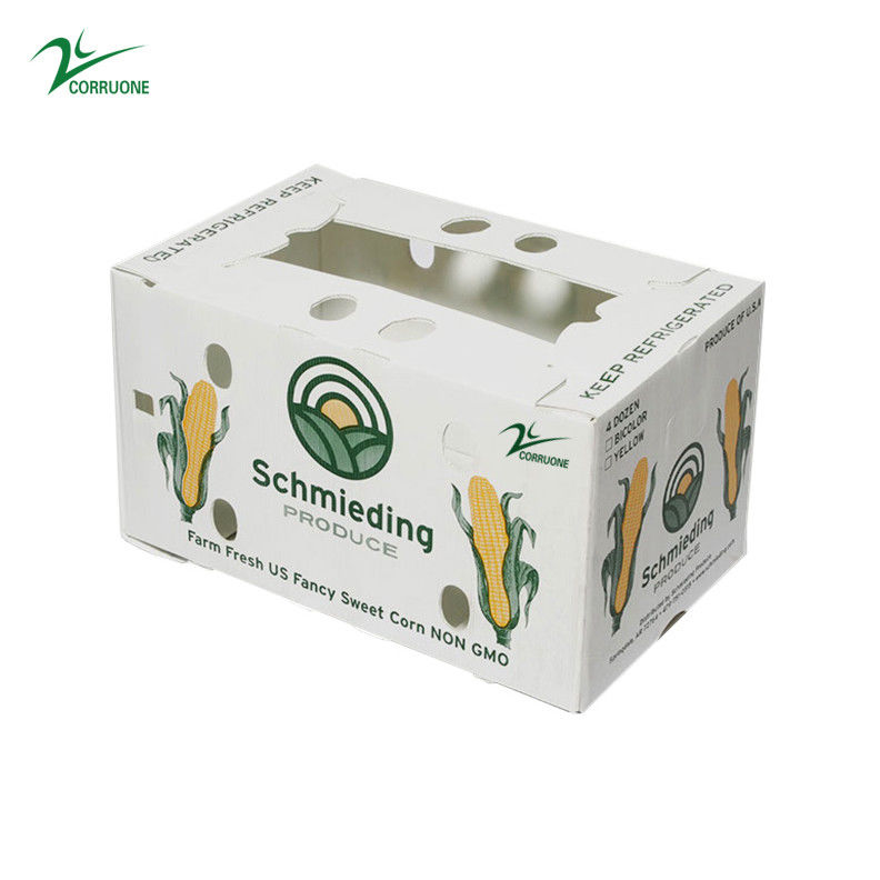 กล่องผลไม้คอร์เร็กซ์ PP กล่องพลาสติก corrugated สําหรับผักและเกษตรกล่องบรรจุ