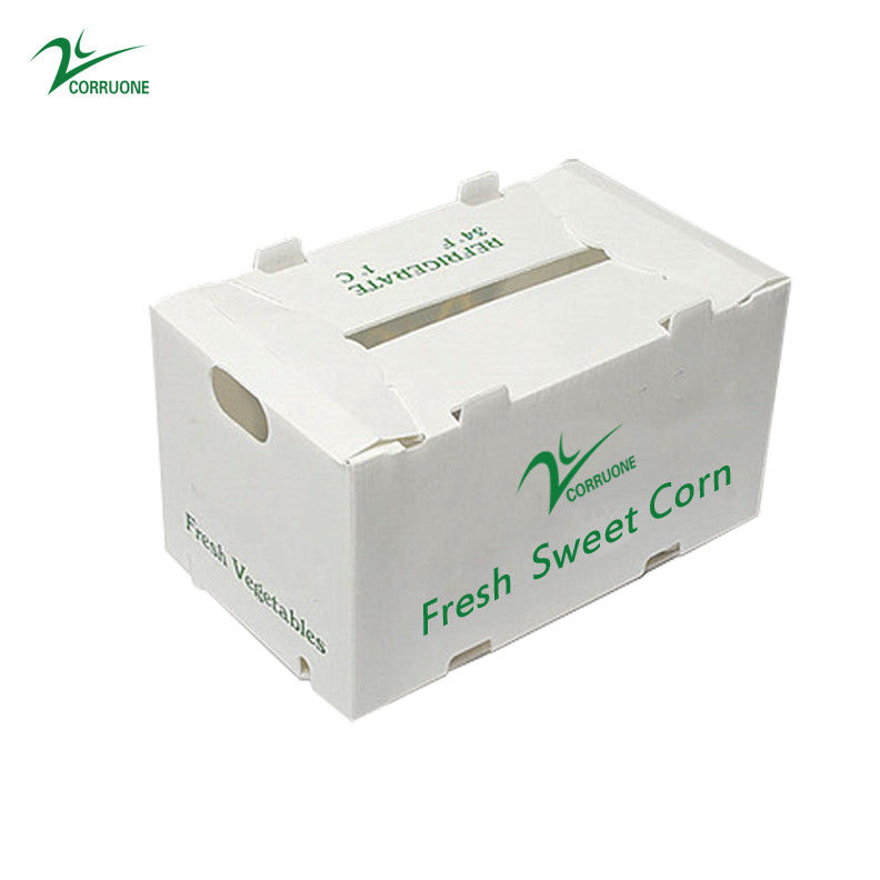 กล่องผลไม้คอร์เร็กซ์ PP กล่องพลาสติก corrugated สําหรับผักและเกษตรกล่องบรรจุ