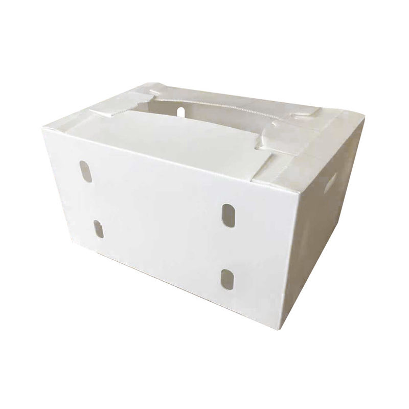 กล่องผลไม้คอร์เร็กซ์ PP กล่องพลาสติก corrugated สําหรับผักและเกษตรกล่องบรรจุ