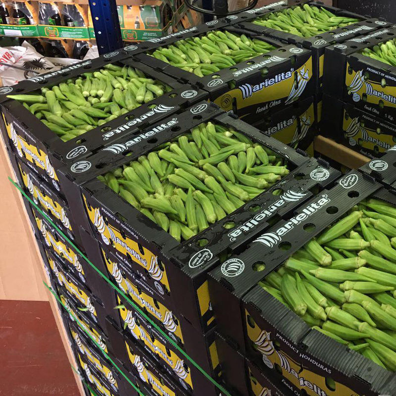 6mm 8mm Asparagus Correx กล่องบรรจุภัณฑ์ Mango Coroplast Storage Boxes
