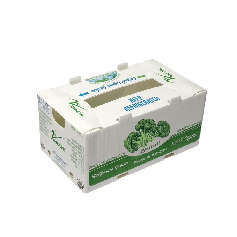 OEM โรงงานผลิต PP พลาสติกกล่อง corrugated สําหรับข้าวโพดหวานสด โบรกอลี่ มะม่วง มะม่วงกล่อง