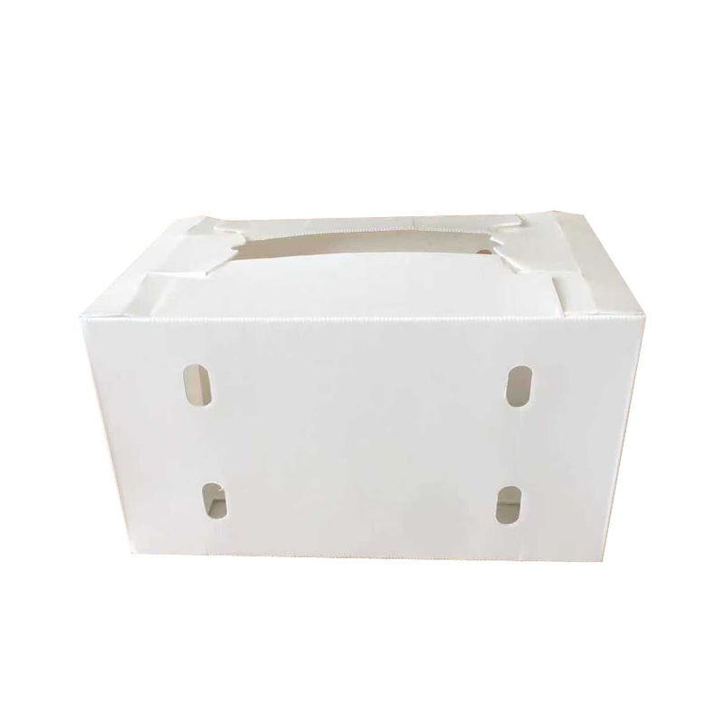 กล่องกระดาษลูกฟูกฝาผนังคู่ Coroplast Storage Boxes Blue