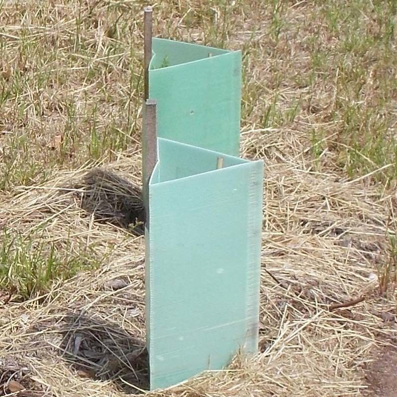 PP Corrugated Plastic Tree Guard คอร์ฟลูต พลาสติกป้องกันลำต้นของต้นไม้