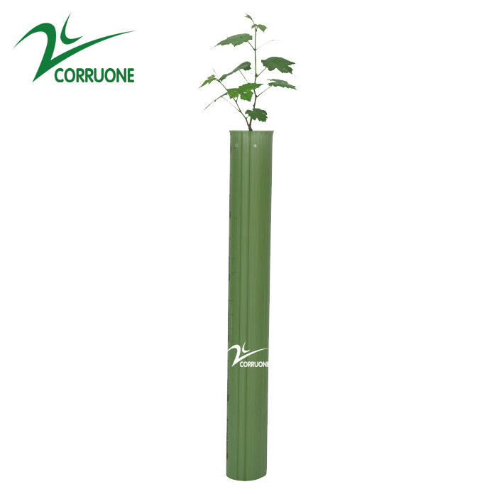 เครื่องป้องกันต้นไม้ลูกฟูกที่ผ่านการเคลือบด้วยรังสี UV 3mm PP คอร์ฟลูต Plant Guards