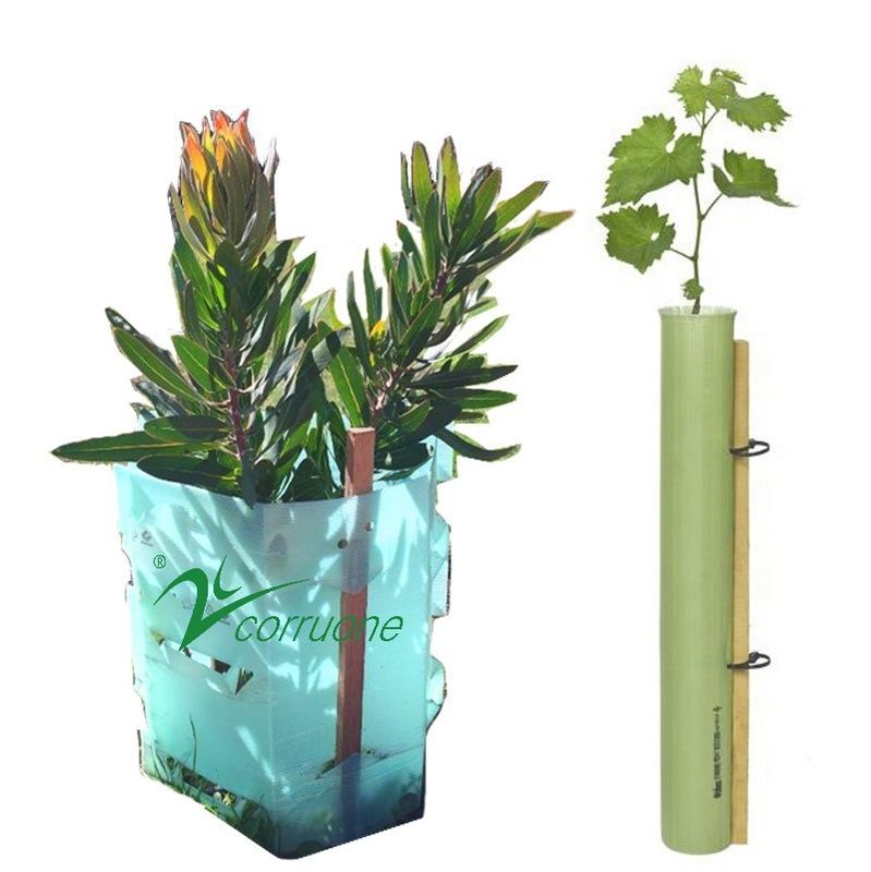 พลาสติกป้องกันต้นไม้ คอร์ฟลูต PE 100% สีแดง กัน UV 2mm-12mm