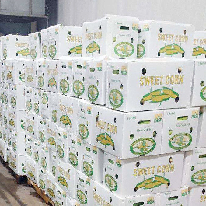 สินค้าขายร้อนพับได้ สะอาดต่อสิ่งแวดล้อม ใบป้องกันทนทาน กล่องพลาสติกผักและผลไม้